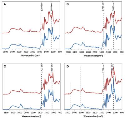 Acidic Ionic Liquid as Both Solvent and Catalyst for Fast Chemical Esterification of Industrial <mark class="highlighted">Lignins</mark>: Performances and Regioselectivity